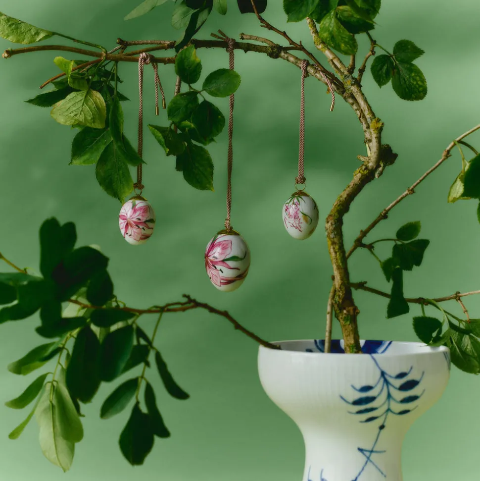 Æg 2026, stor gederamsblomst, 6 cm